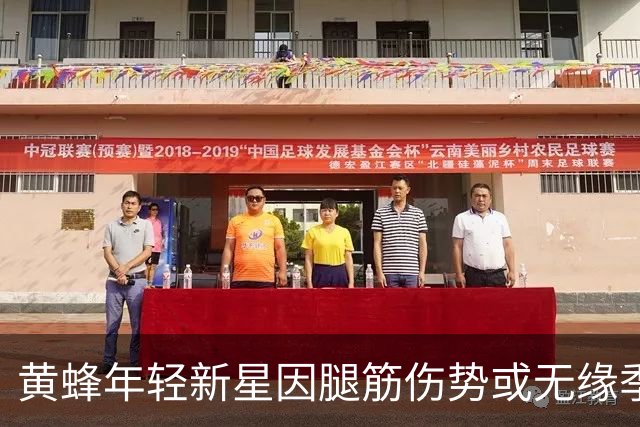 黄蜂年轻新星因腿筋伤势或无缘季前赛
